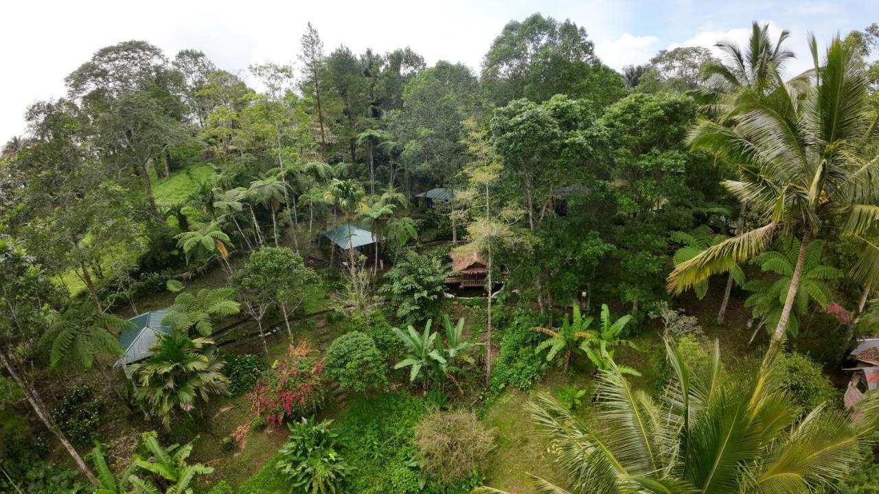Rimba Eco Resort Tomohon Exterior foto